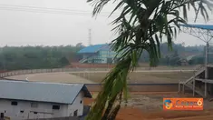 Citizen6, Lubuk Lingau: Pemerintah daerah Lubuk Lingau, Sumsel terus mempersiapkan pembangunan stadion SEA games. (Pengirim: Dany Perdana)