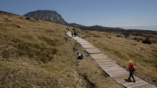 Pesona Menakjubkan Pulau Jeju Korea Selatan