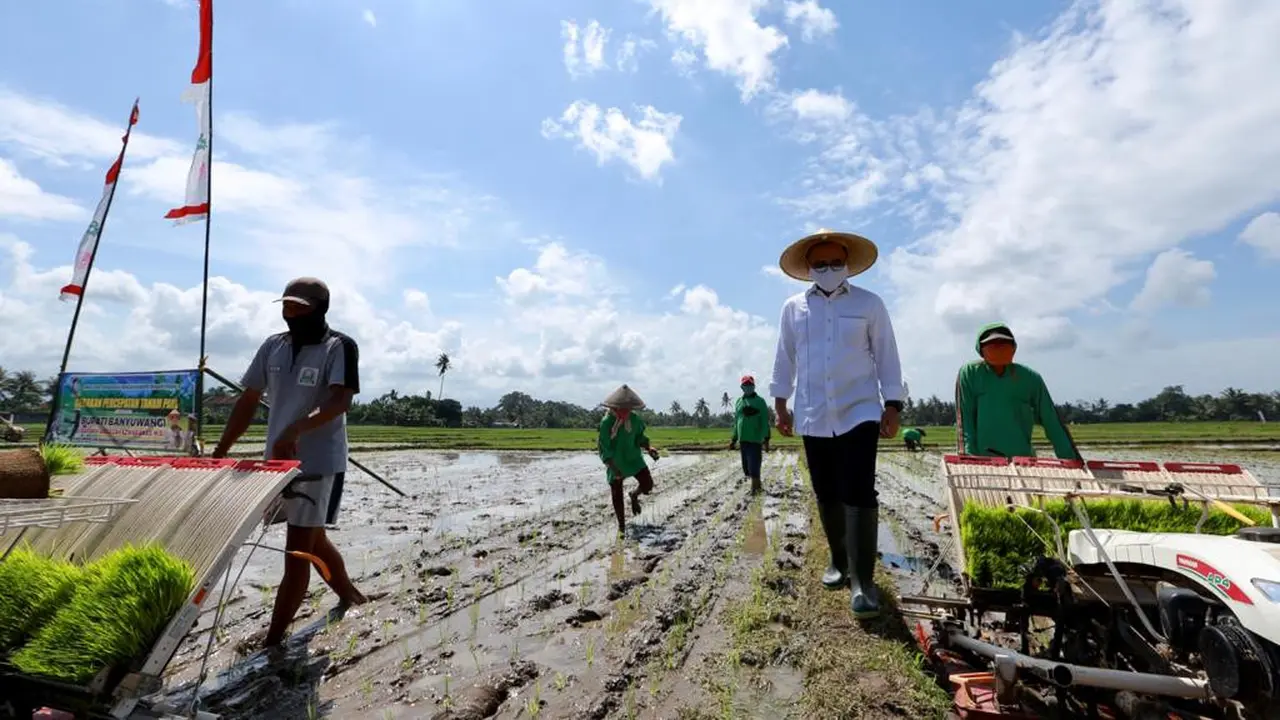 Sektor Pertanian Banyuwangi Berhasil Tumbuh Positif di Tengah Masa Pandemi