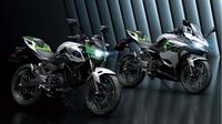 Kawasaki Z Ev dan Ninja EV (paultan.org)