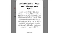 Ramai Keluhan Akun TikTok Diblokir, Warganet Bingung!