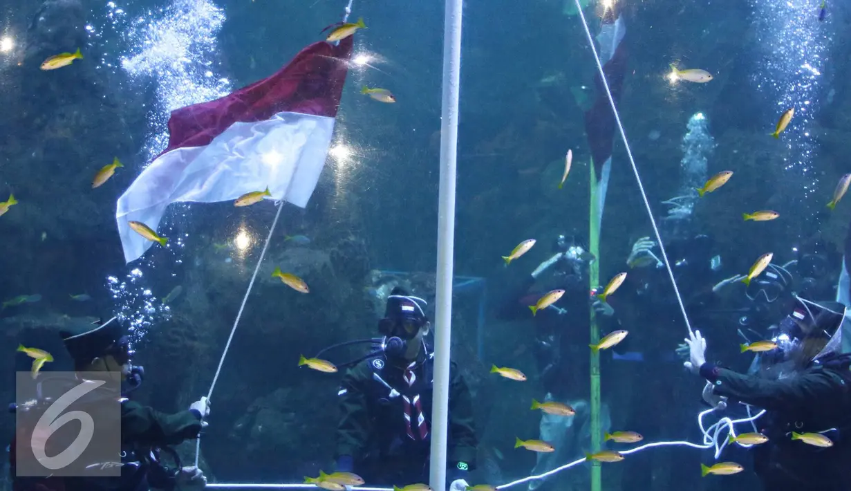 Penyelam melaksanakan prosesi pengibaran bendera di akuarium utama SeaWorld Ancol, Jakarta, Rabu (17/8). Kegiatan tersebut diadakan dalam rangka memperingati HUT RI ke-71. (Liputan6.com/Immanuel Antonius)
