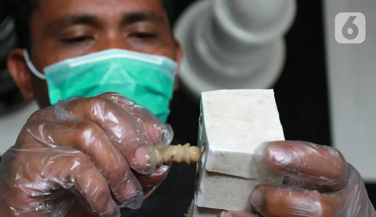 Jodi Purnama melakukan proses penyelesaian pembuatan bakso daging sapi yang berbentuk bidak catur di Bintaro, Senin  (18/11/2019). Jodi meyakini bakso daging sapi berbentuk bidak catur merupakan pertama kali yang ada di Indonesia maupun dunia.  (merdeka.com/Arie Basuki)
