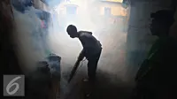 Jutaan Orang Meninggal Gara-Gara Hewan Kecil Ini