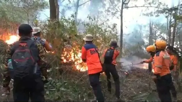 100 Hektare Hutan Gunung Lawu Terbakar, Berpotensi Meluas
