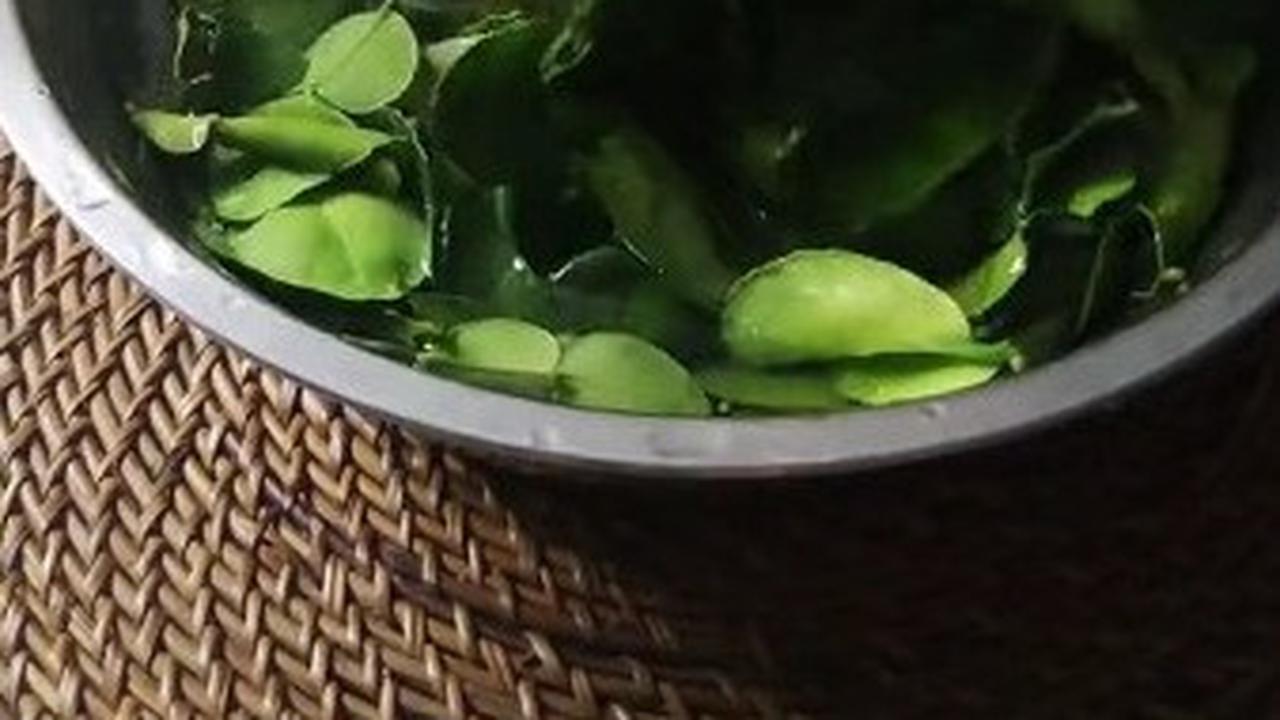 Cara menyimpan daun jeruk