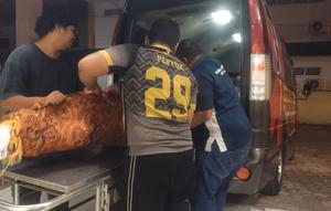 Jenazah guru besar USU. (Liputan6.com/Reza Efendi)