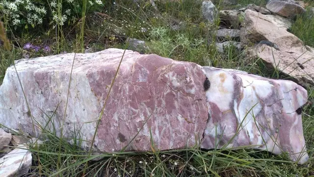 6 Benda Mirip Daging Ini Bikin Gagal Fokus saat Puasa