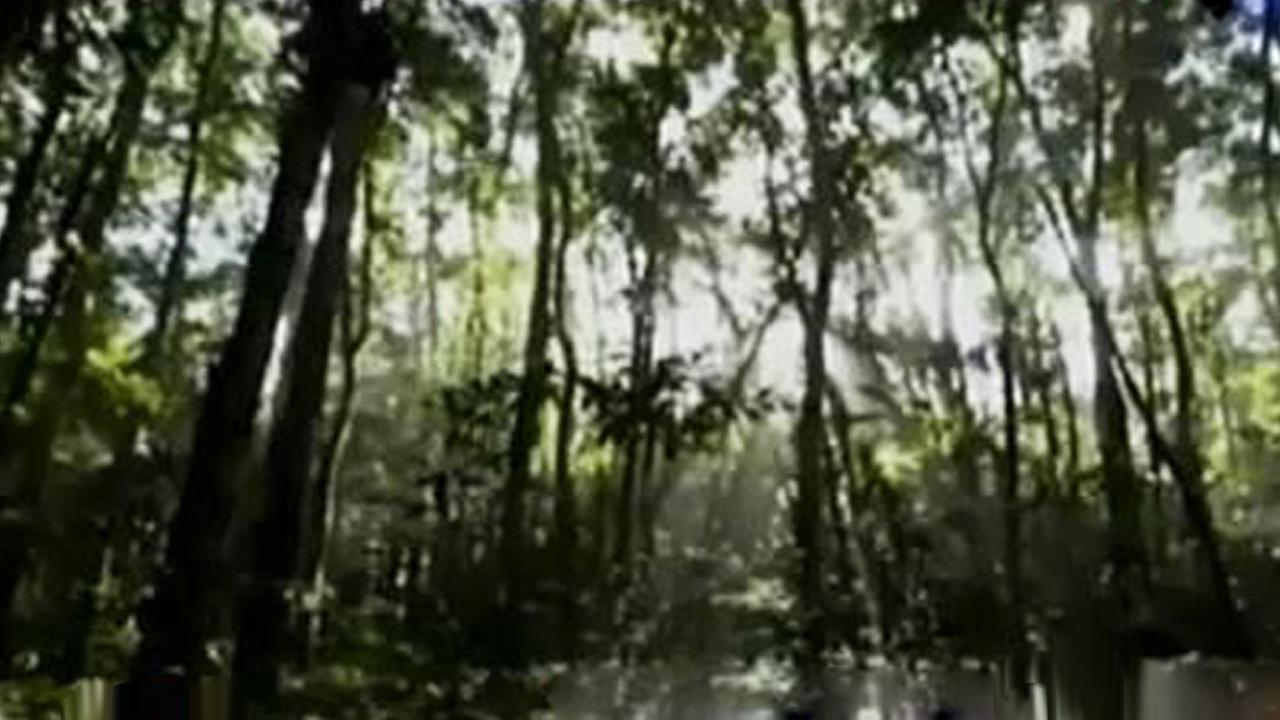 VIDEO: UNESCO Tetapkan Kawasan Blambangan Jadi Cagar Biosfer