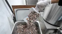 Mengintip Proses Pembuatan Premium Menggunakan Biji Kakao dari Empat Daerah di Indonesia di Pipiltin Cocoa, Kawasan Barito, Jakarta Selatan pada Kamis, 13 September 2018 (Liputan6.com/Hermann Zakharia)