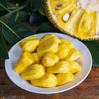 ilustrasi nangka/copyright by Suriyawut Suriya Shutterstock