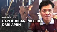 Presiden membagikan lebih dari 1000 hewan kurban dengan dana APBN sekitar Rp100 miliar. Menteri Agama dan Ketua Komisi III DPR menyatakan tidak ada yang salah dengan penggunaan dana APBN untuk hewan kurban Presiden.