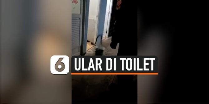 VIDEO: Bikin Syok, Wanita Temukan Ular Kobra Bermata Satu di Toilet