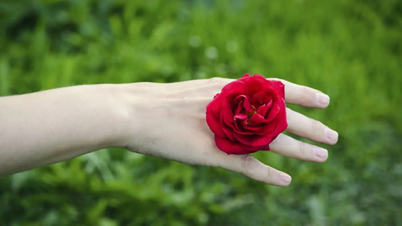 Foto: copyright thinkstockphotos.com