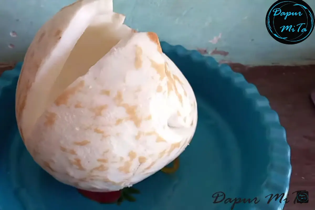 Jangan Langsung Dimasukkan Kulkas, Ini Cara Simpan Kelapa Parut  Agar Awet hingga 1 Bulan
