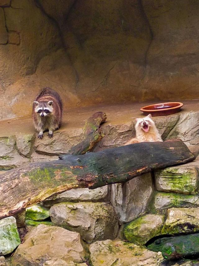 Sunway Lagoon, Malaysia