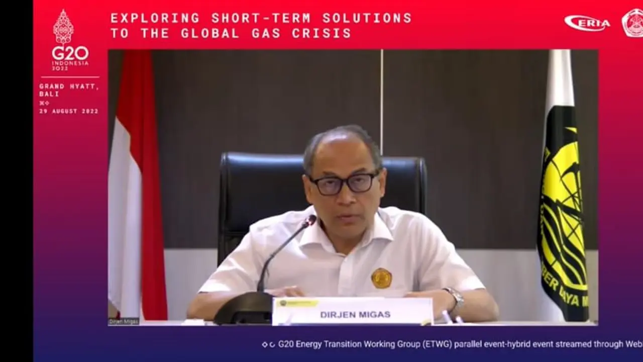 Sederet Opsi Kebijakan Pemerintah untuk Optimalisasi Pemanfaatan Gas Bumi 
