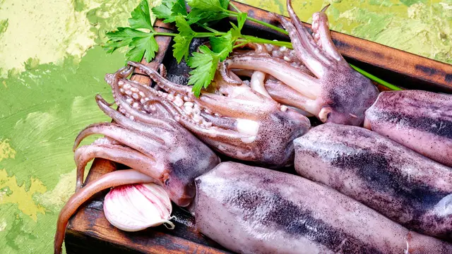 Manfaat Cumi-cumi