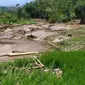 Ratusan hektar lahan di kawasan Bangkonol rusak setelah terkena terjangan banjir bandang di wilayah Kecamatan Sukawening, Garut, Jawa Barat kemarin. (Liputan6.com/Jayadi Supriadin)