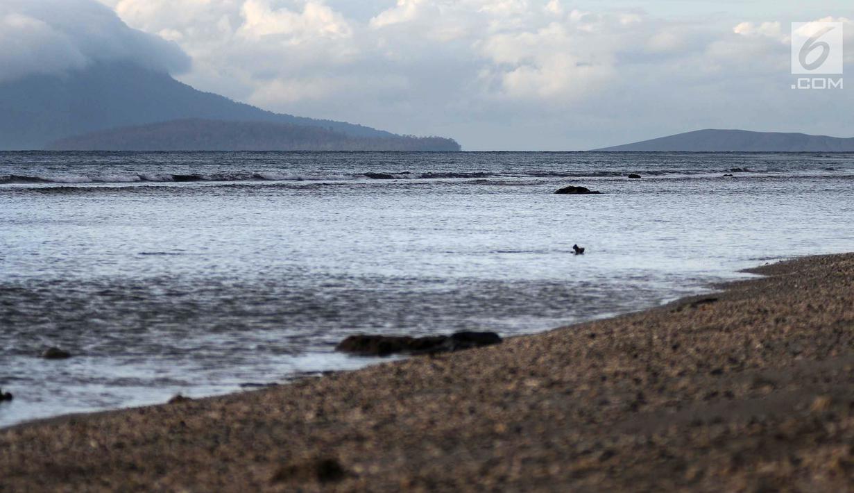 Pengamatan Gunung Krakatau dan Anak Krakatau dari Dusun Tiga Regahan Lada, Pulau Sebesi, Lampumg Selatan, Senin (31/12). Gunung Anak Krakatau diperkirakan kehilangan volume sekitar 150-180 juta m3. (Liputan6.com/Herman Zakharia)