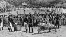 27 Juli 1377: Awal Mula Karantina, Warisan dari Pandemi Black Death