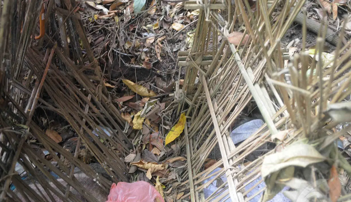 Di kuburan ini, tak ada satu pun mayat yang dikubur atau dikremasi,  semua jenazah tergeletak di atas tanah, tertutup ancak saji yaitu anyaman bambu berbentuk segitiga sama kaki. (Liputan6.com/Herman Zakharia)