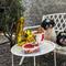 3 anjing Shih Tzu peliharaan milik Kak Fieta. [Instagram/@snappythepuppy]