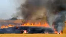 Sejumlah pemadam Israel berusaha memadamkan api di ladang dekat Kibbutz of Mefallesim di perbatasan Jalur Gaza (15/5). Layang-layang yang diikatkan bom molotov dilepaskan ke arah ladang gandum milik Israel. (AFP/Jack Guez)