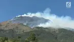 Penyebab terbakarnya hutan lindung gunung Sindoro di Temanggung jawa-tengah yang terjadi dalam beberapa waktu lalu, kini telah ditemukan jawabannya.