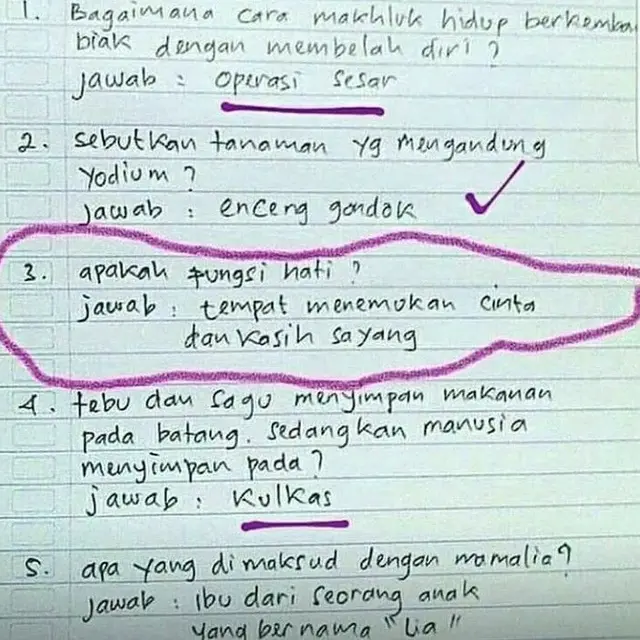 6 Jawaban Murid Ditanya Soal Tugas dan Fungsi Ini Bikin Guru Elus Dada