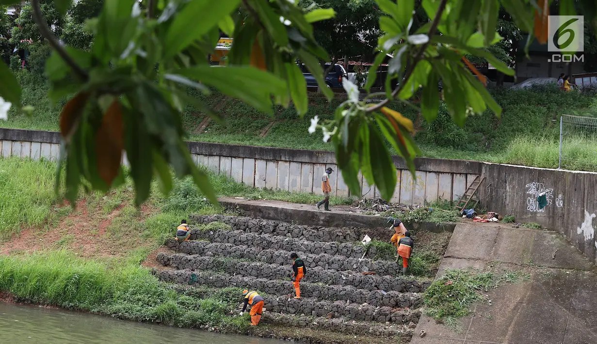 Sejumlah petugas membersihkan rumput di sepanjang bantaran Kanal Banjir Timur (KBT), Jakarta, Selasa (12/3). Tidak adanya mesin pemotong rumput menyebabkan para petugas melakukan perawatan rutin dengan alat seadanya. (Liputan6.com/Immanuel Antonius)