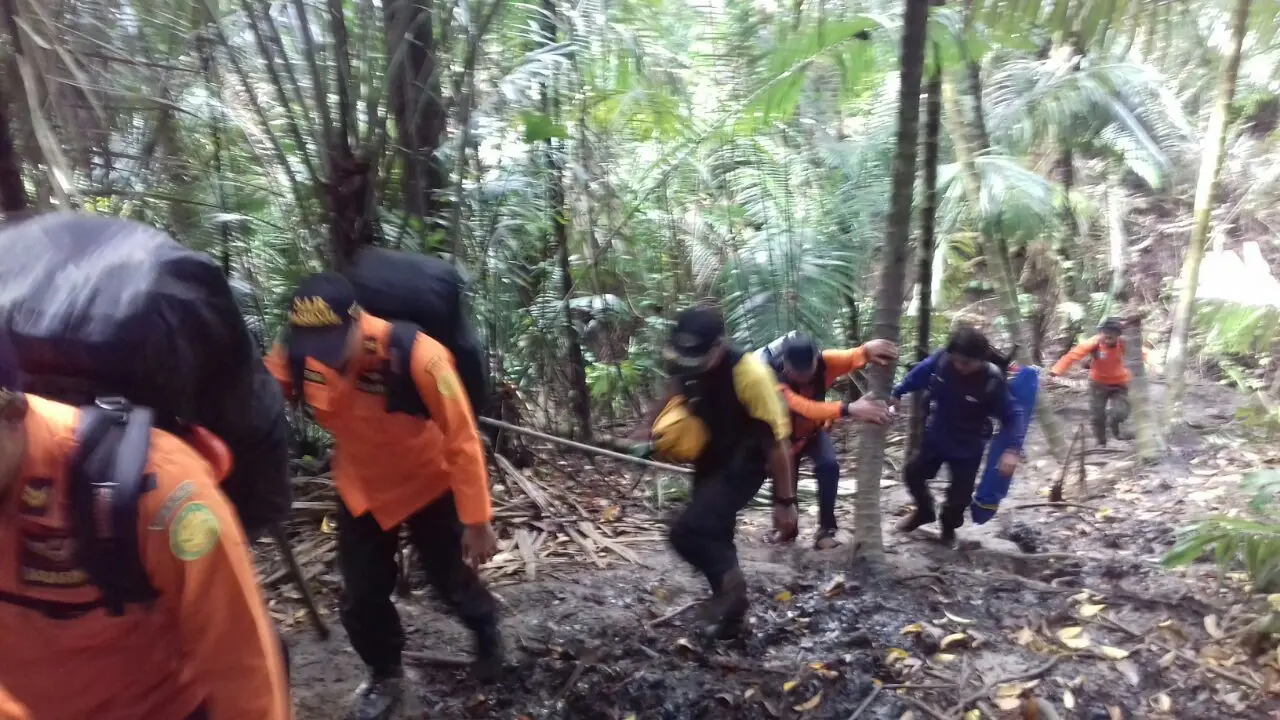 pencari mayat