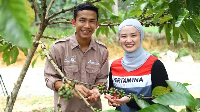 Kelompok Tani Kampung Kopi Luwak Desa Prangat Baru