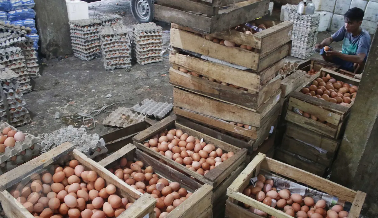 Suasana di agen telur ayam di Jakarta, Senin (27/3). Perhimpunan Insan Perunggasan Rakyat menilai pemerintah lamban mengatasi kondisi kelebihan pasokan ayam hidup dan telur, menyebabkan harga jatuh di tingkat peternak. (Liputan6.com/Angga Yuniar)