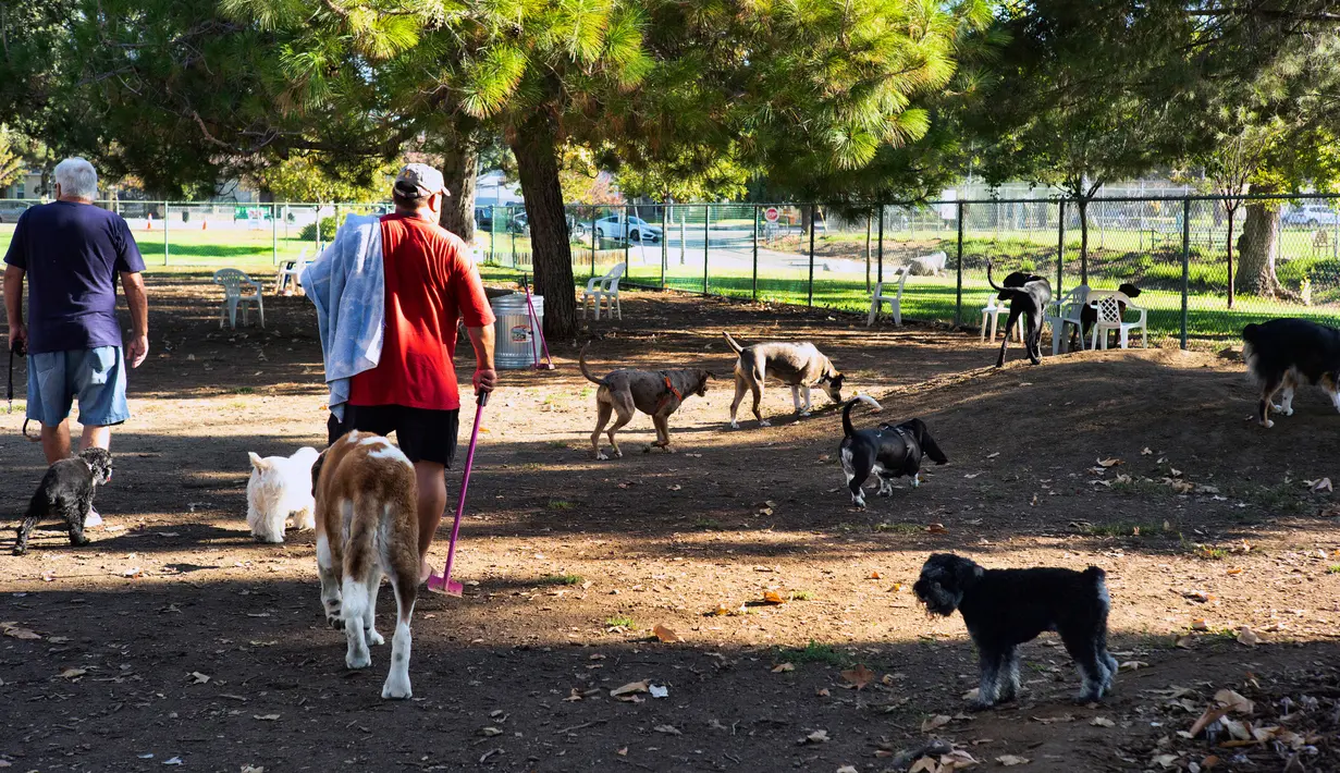 Pemilik anjing tiba pada pagi hari untuk mencoba mengatasi panas di Sepulveda Basin Dog Park di Los Angeles pada Rabu, (31/8/2022). Gelombang panas ini diperkirakan akan menyebar ke California Utara di akhir minggu. (AP Photo/Richard Vogel)