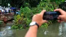 Seorang warga mengabadikan gambar pohon tumbang di bantaran kali poris Tangerang, Jum'at, (26/2). Pohon tersebut tumbang pada siang tadi pukul 12.30 WIB. (Liputan6.com/Faisal R Syam)