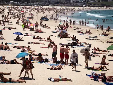 Warga Australia menghabiskan waktunya di pantai Bondi Sydney selama gelombang panas yang melanda wilayah Australia, (20/11/2015). Badan Meteorologi Australia mencatat suhu mencapai lebih dari 40 derajat celsius dan akan meningkat. (REUTERS/Jason Reed)