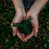 Kenali serat lyocell bermerek VEOCELTM dengan Dry Technology dari Lenzing. Serat ramah lingkungan sebagai alternatif bahan untuk produk kebersihan pribadi./ Photo by Noah Buscher on Unsplash