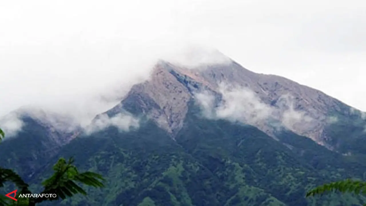 merbabu-140217c.jpg