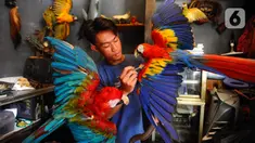 Ahli taksidermi mengawetkan binatang peliharaan di workshop Pagoda Taksidermi, Pekayon, Jakarta, Selasa (1/8/2023). Permintaan para pemilik hewan peliharaan untuk melakukan taksidermi saat ini meningkat. (merdeka.com/Arie Basuki)