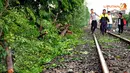 Akibat hujan deras, sebuah pohon tumbang dan menutupi perlintasan rel kereta api. Tampak sisa pepohonan yang telah disingkirkan dari jalur rel di antara stasiun Cawang dan Tebet (Liputan6.com/Helmi Fithriansyah)