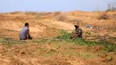 Sejumlah petani Palestina memeriksa lahan pertanian mereka setelah buldoser tentara Israel merusak sebagian lahan itu, yang berada di sebelah timur Khan Yunis di perbatasan Jalur Gaza selatan (13/10/2020). (Xinhua/Yasser Qudih)