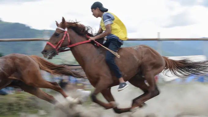 Perlombaan Pacuan Kuda Tradisional