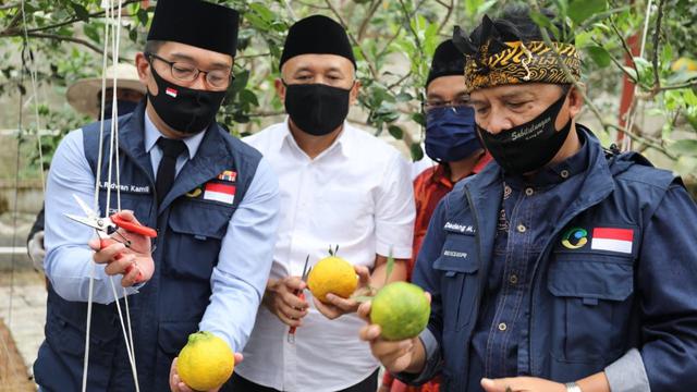 Menteri Koperasi dan UKM Teten Masduki mengunjungi Koperasi Pondok Pesantren Al Ittifaq di kawasan Ciburial, Bandung, Minggu (21/6/2020). (Dok Kemenkop)