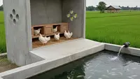 7 Desain Kandang Ayam di Atas Kolam: Solusi Inovatif untuk Budidaya Terpadu