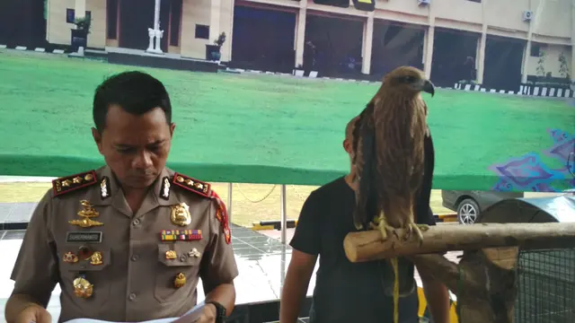 Cerita AS Jual Beli Satwa Liar Melalui Sosial Media