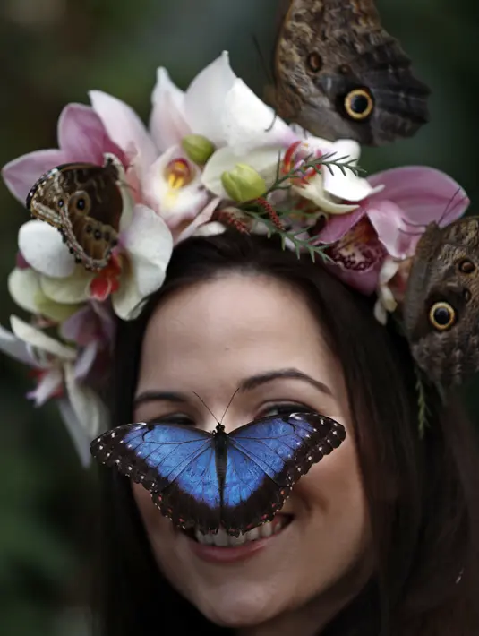Jessie May Smart mengenakan mahkota bunga yang wajahnya dihinggapi kupu-kupu hingga menyerupai topeng berpose di RHS Wisley di Wisley, Inggris, (13/1). Butterflies in the Glasshouse adalah rumah kaca untuk menjaga habitat kupu-kupu. (AFP/Adrian Dennis)