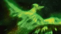 Seekor burung phoenix yang sedang melayang di angkasa di wilayah utara Islandia sempat terekam kamera foto.