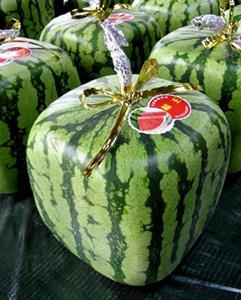 Tertarik untuk membeli buah semangka unik ini? | Foto: copyright buzzfeed.com