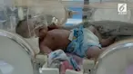 Sesosok bayi mungil berjenis kelamin laki-laki ditemukan oleh seorang pemulung di Pancoran Mas, Depok. Saat ditemukan kondisi bayi berada dalam sebuah kardus.